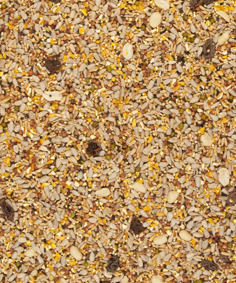 Clean Garden Blend 2,5kg - schalenfreies Futter