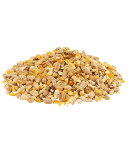 Körnerfutter Fasane und Junghennen
