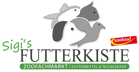 Zur Startseite gehen