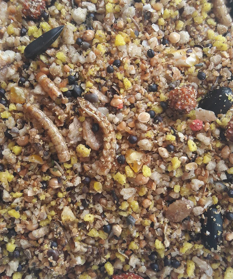 Nesting Blend 2,5kg - Aufzuchtfutter für Wildvögel