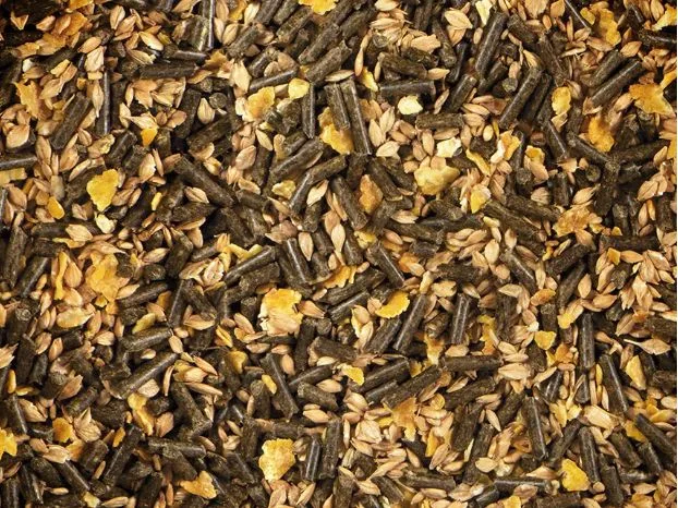 Pferdefutter deukavallo Top E 25kg