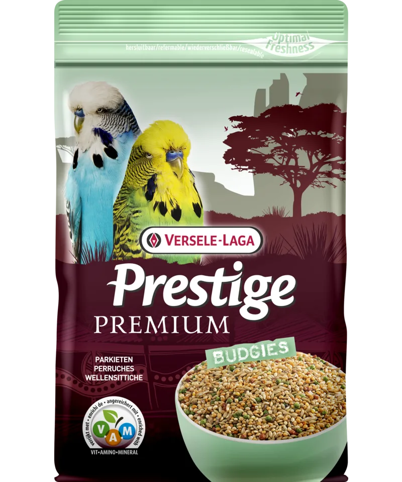 Wellensittiche Premium