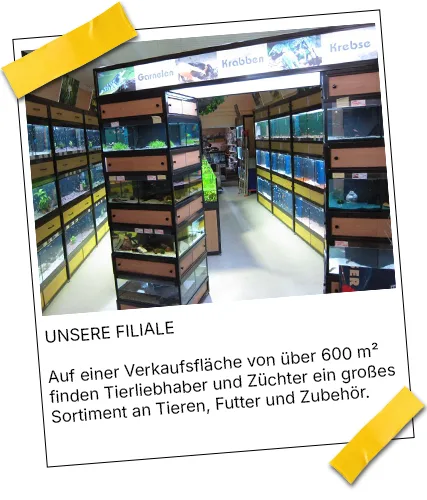 Laden Geschäft