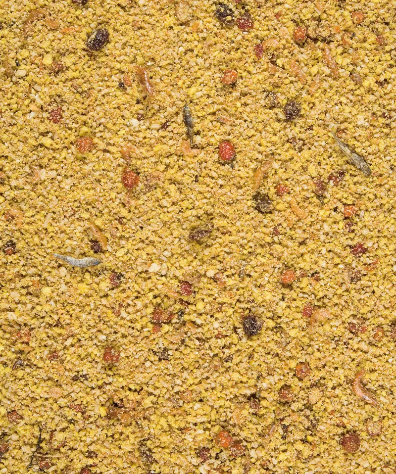 Orlux Eifutter gold patee für Großsittiche und Papageien Inhalt