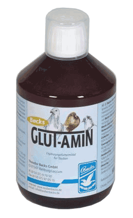 Backs GLUT-AMIN