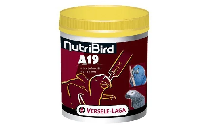Nutri Bird A19 Handaufzuchtsfutter